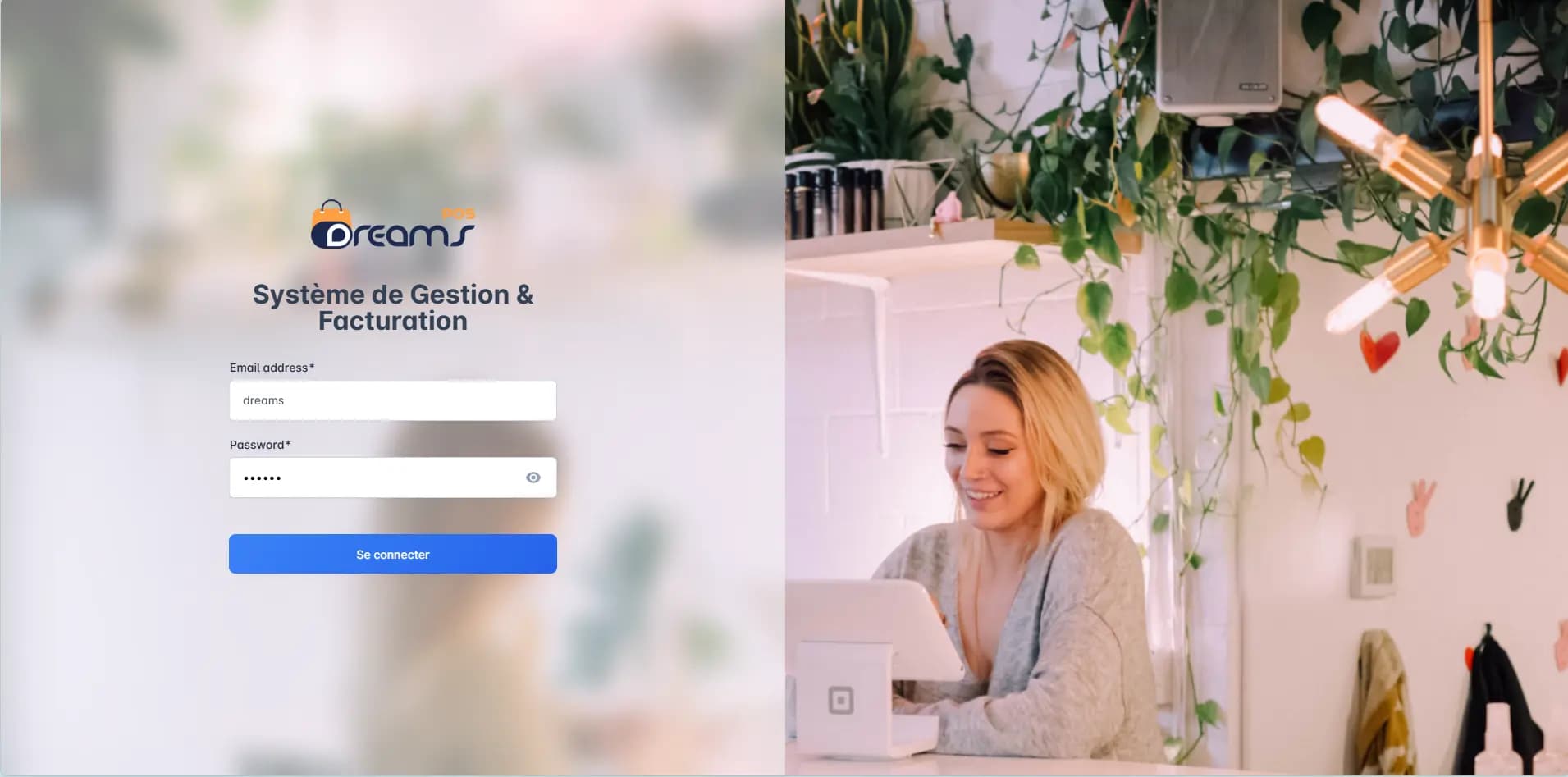 Dreams POS (Point of Sale & Inventory Management System) project preview